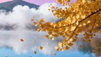缩略图