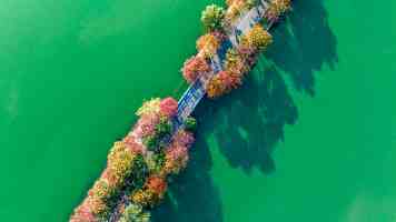 西施无限爱心照片怎么获得？三种隐藏途径与触发技巧