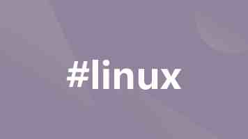 郑庆华：坚守教育初心 探索“师-生-机”共生新范式