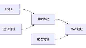 lutube轻量版检测线路检测功能 - 实测详解与优化建议