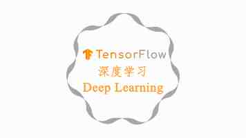 新手养猫必备清单｜初次接猫到家前这8样东西缺一不可