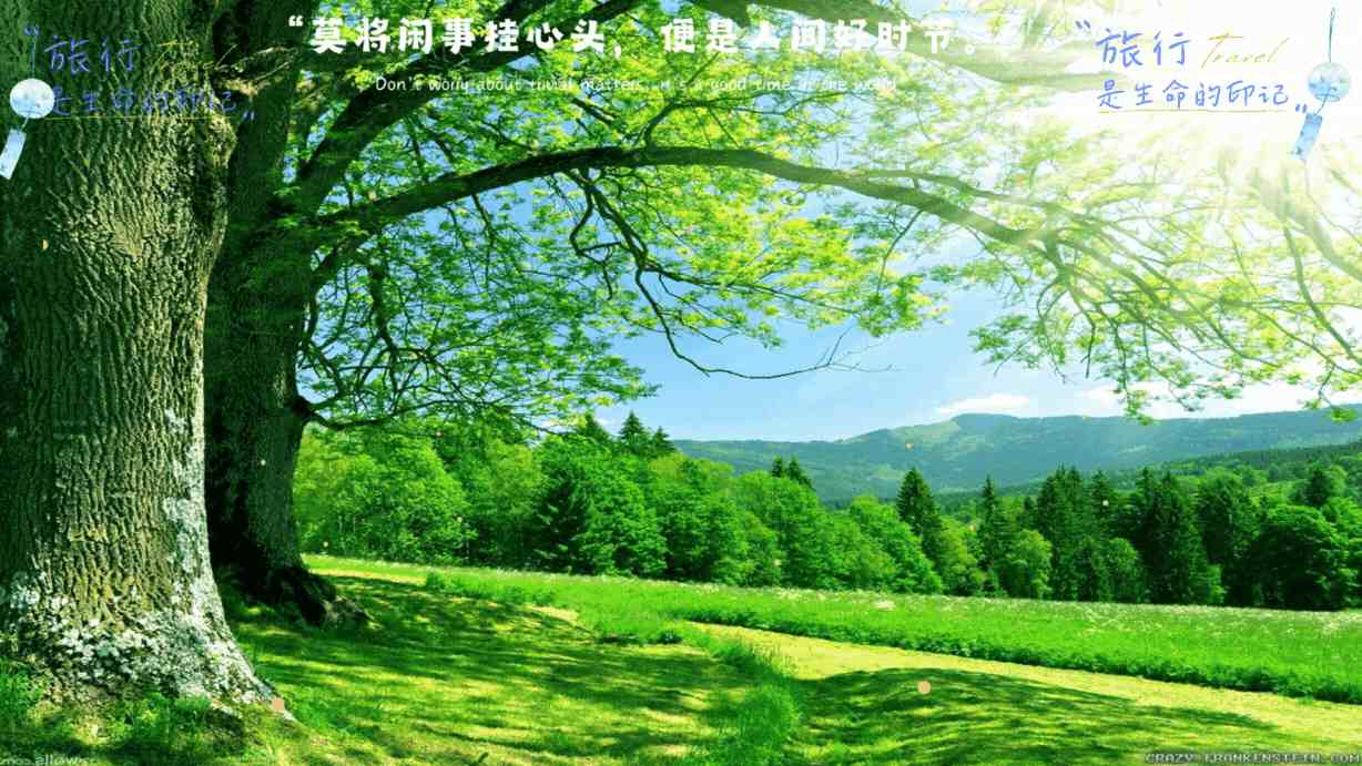 雷诺不在中国卖车，却把中国当成了“参照物”