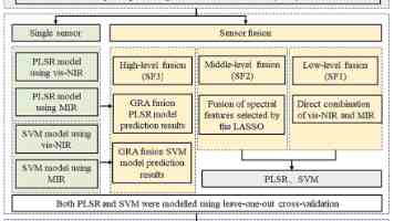 婷婷97的生活美学:日常记录与好物灵感